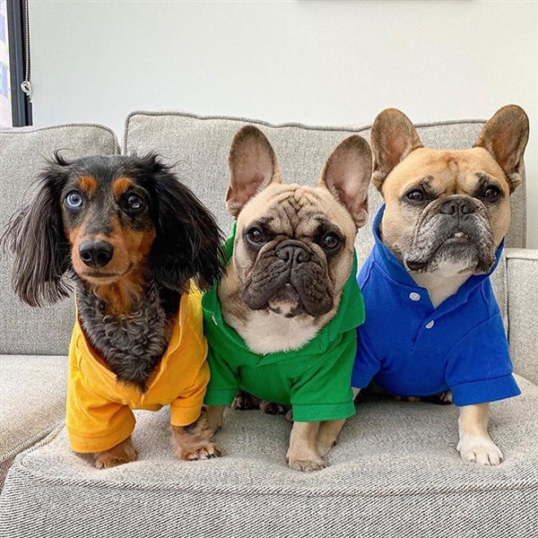 Parisian Pet - Dog Shirt Polo Green