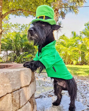 Parisian Pet - Dog Shirt Polo Green