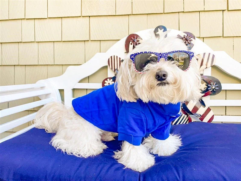 Parisian Pet - Dog Shirt Polo Blue