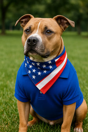 Parisian Pet - Dog Shirt Polo Blue