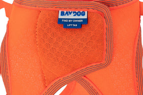 Baydog - Harness Liberty Dog Blaze Orange