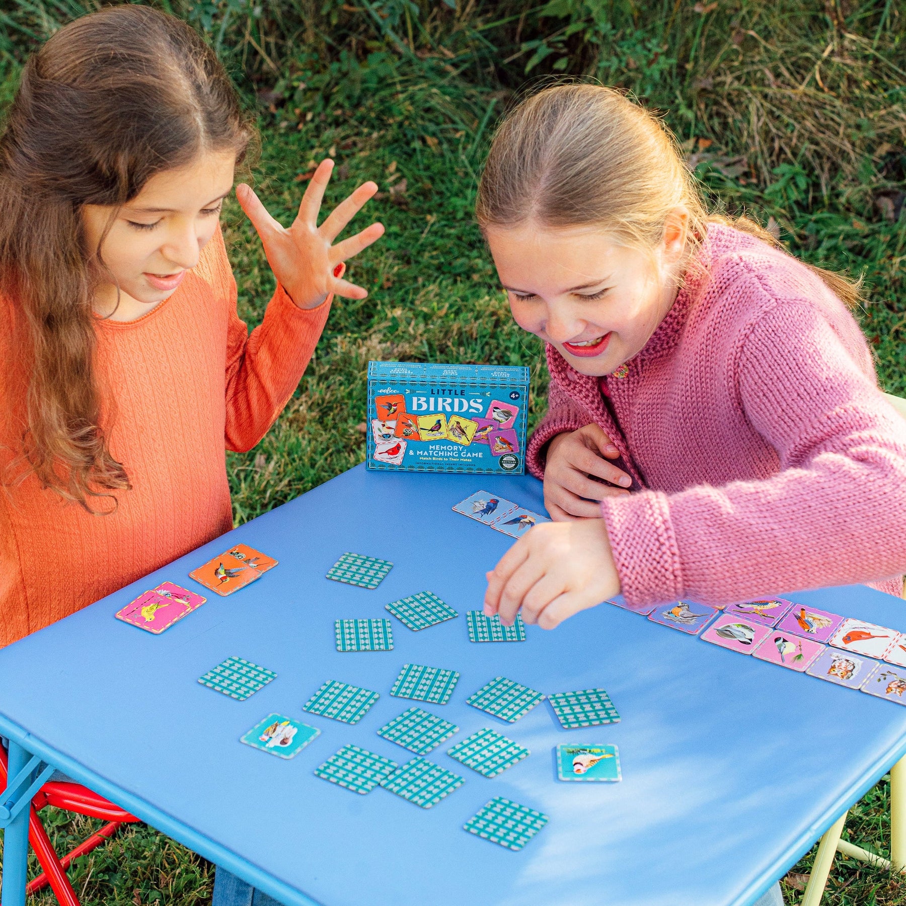 eeBoo - Memory & Matching Game: Birds