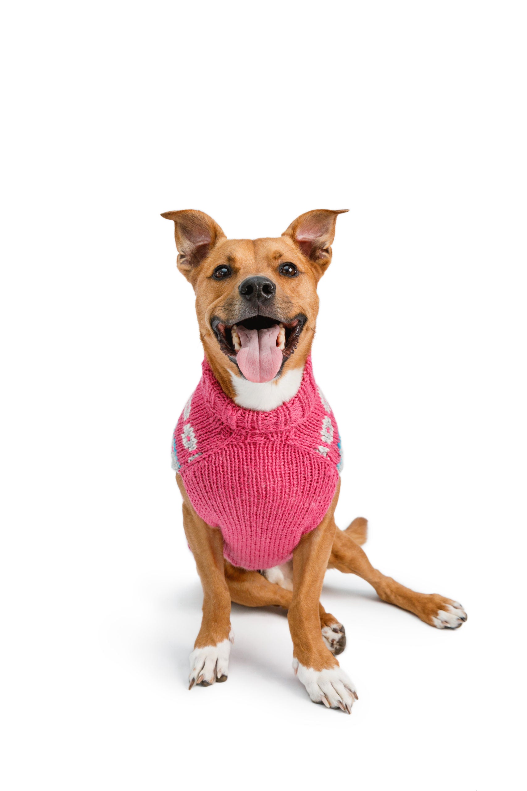 Chilly Dog - Dog Sweater Fairisle Rose Alpaca