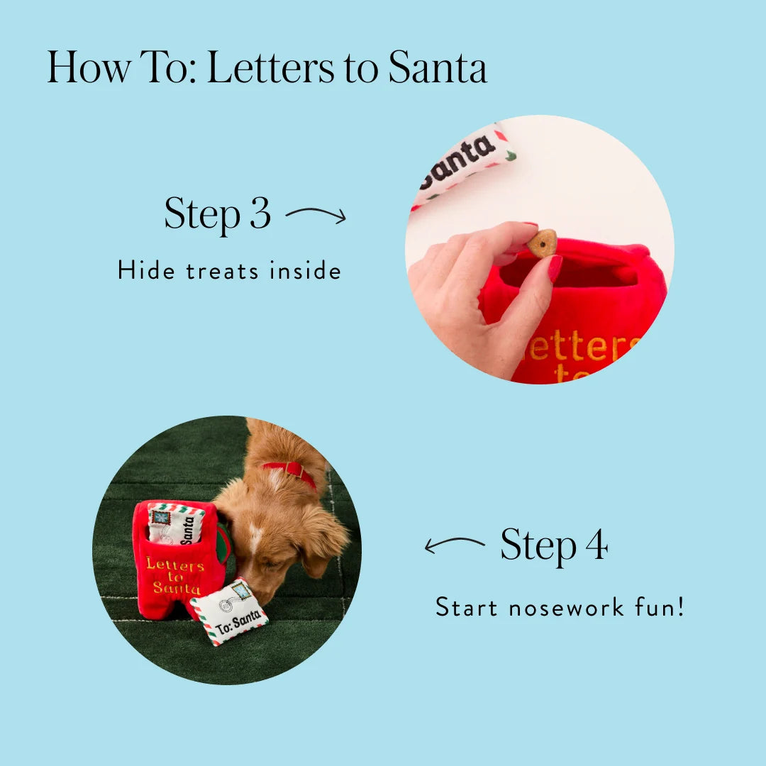 The Foggy Dog - Dog Toy Letters To Santa
