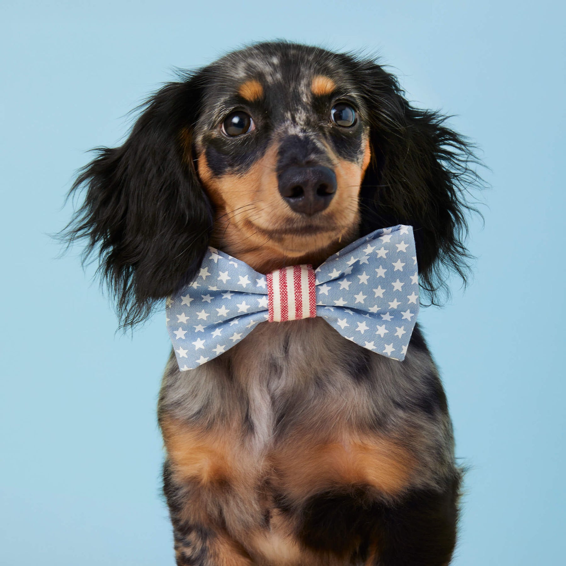 The Foggy Dog - Dog Bow Tie Stars & Stripes