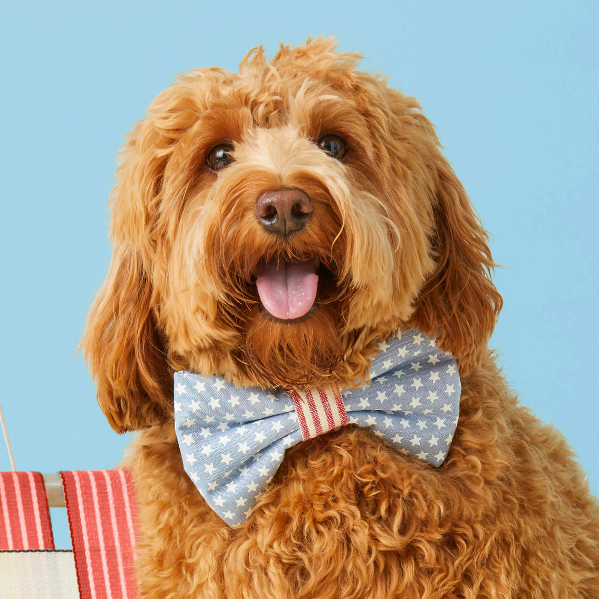 The Foggy Dog - Dog Bow Tie Stars & Stripes