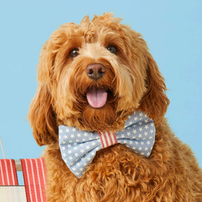 The Foggy Dog - Dog Bow Tie Stars & Stripes