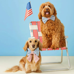 The Foggy Dog - Lady Dog Bow Stars & Stripes