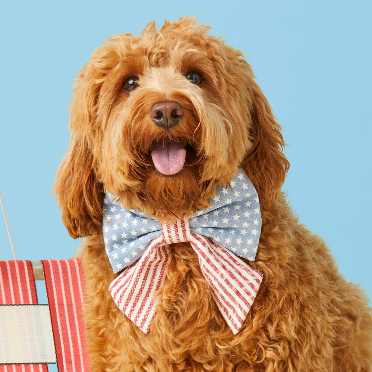 The Foggy Dog - Lady Dog Bow Stars & Stripes