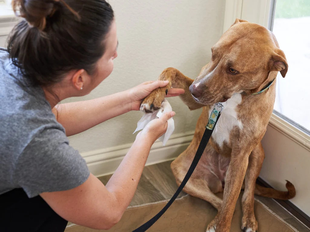 Pet Parents - Pet WiPees Dog All Purpose+ Allergy Natural