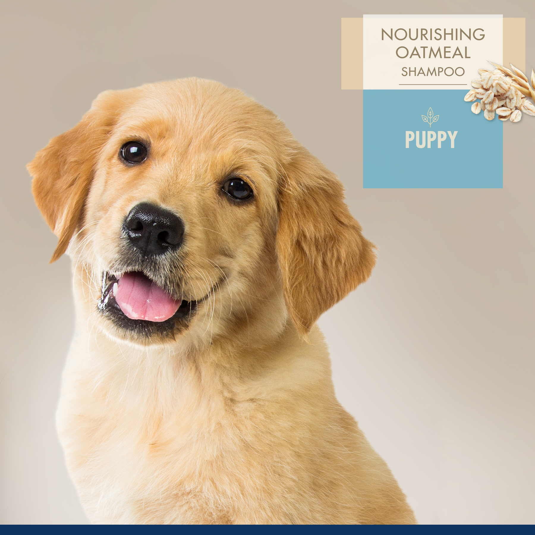 Four Paws - Professional Series Nourishing Oatmeal Puppy Shampoo 16 oz.