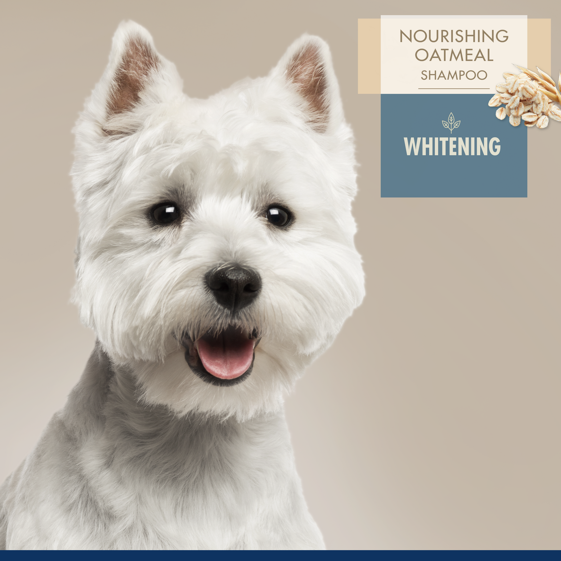 Four Paws - Professional Series Nourishing Oatmeal - Dog Whitening Shampoo 16 oz.