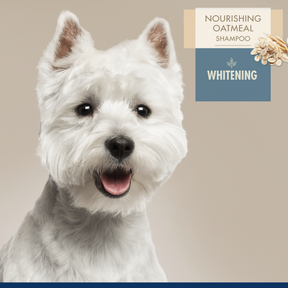 Four Paws - Professional Series Nourishing Oatmeal - Dog Whitening Shampoo 16 oz.