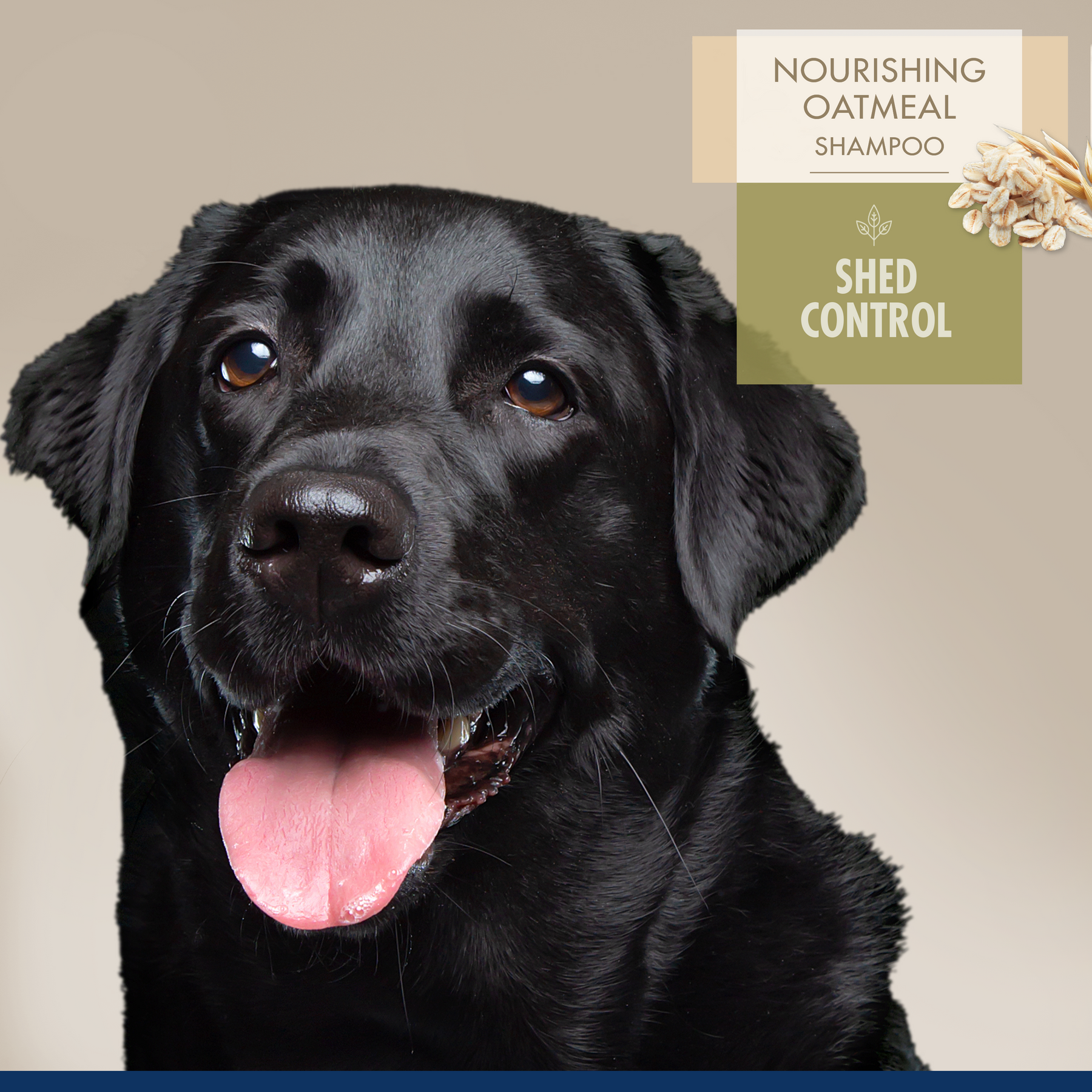 Four Paws - Professional Series Nourishing Oatmeal De-Shedding Shampoo 16 oz.