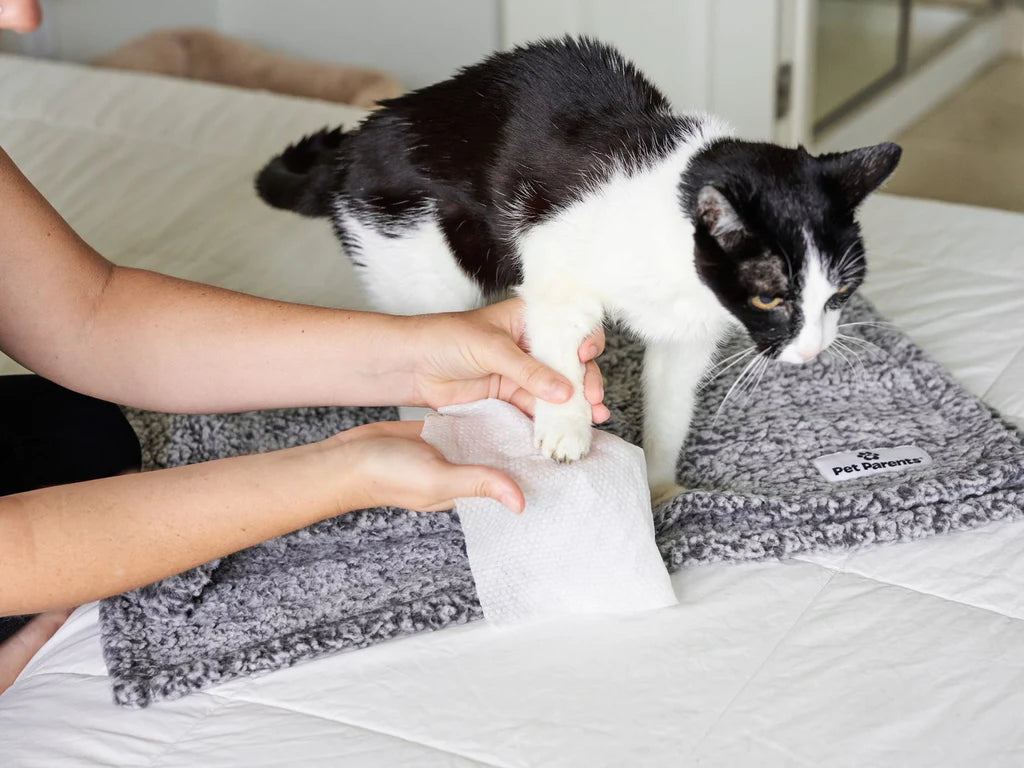Pet Parents - Pet WiPees Cat All Purpose