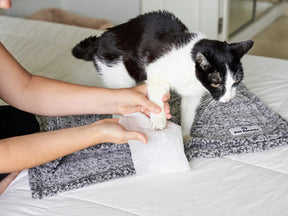 Pet Parents - Pet WiPees Cat All Purpose