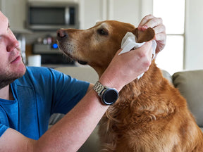 Pet Parents - Pet WiPees Ear