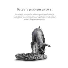 Pet Parents - Forager Bowl Meadow 9"