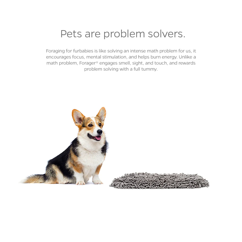 Pet Parents - Forager Mat Ponds - Southern Agriculture 