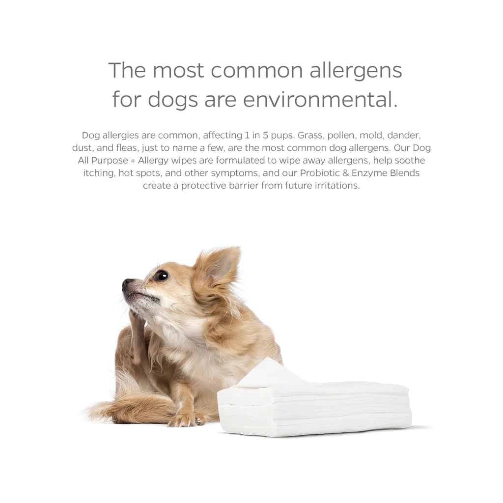 Pet Parents - Pet WiPees Dog All Purpose+ Allergy Natural