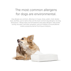 Pet Parents - Pet WiPees Dog All Purpose+ Allergy Natural