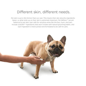 Pet Parents - Pet WiPees Dog All Purpose+ Allergy Natural