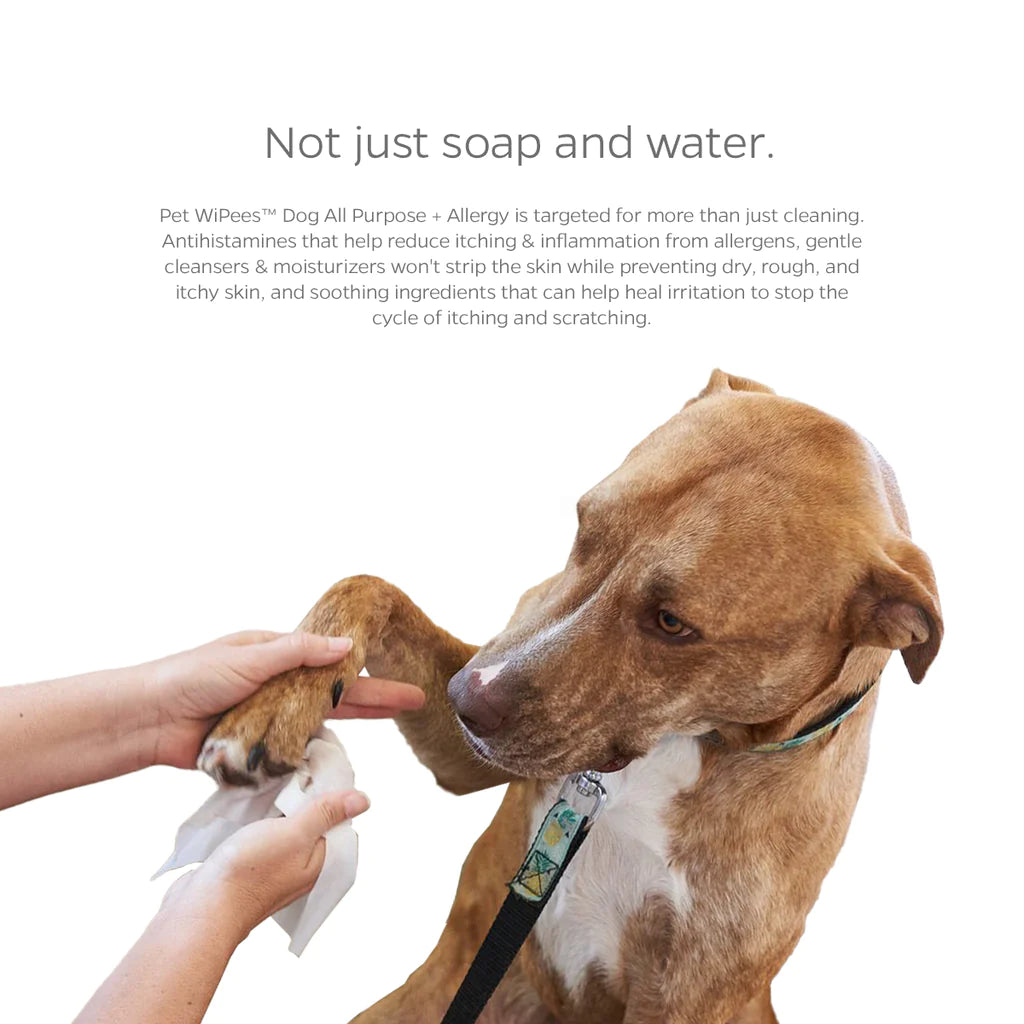 Pet Parents - Pet WiPees Dog All Purpose+ Allergy Natural