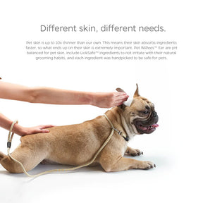 Pet Parents - Pet WiPees Ear