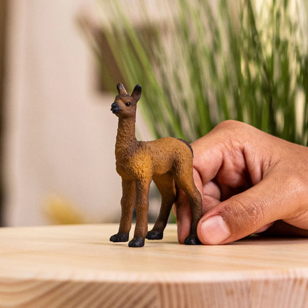 Schleich - Llama Foal