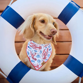 The Foggy Dog - Bandana Dog Printfresh X TFD Lobster Landing