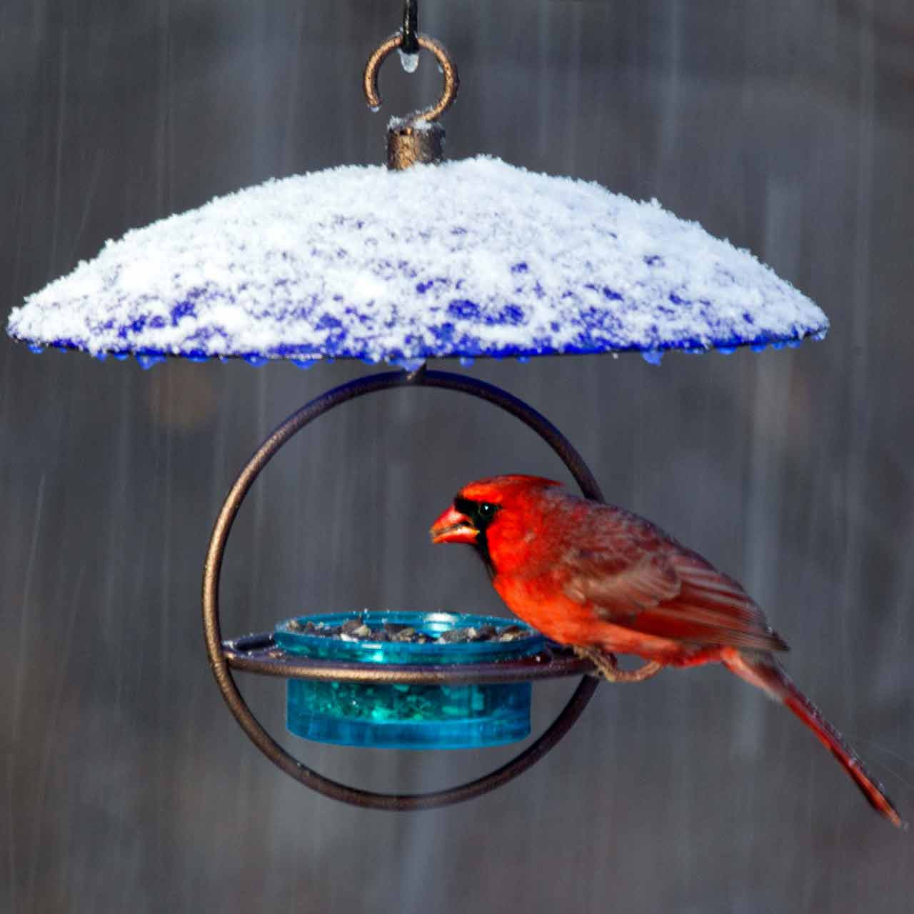 Couronne Co - Mosiac Birds Petite Glass Baffle Dome