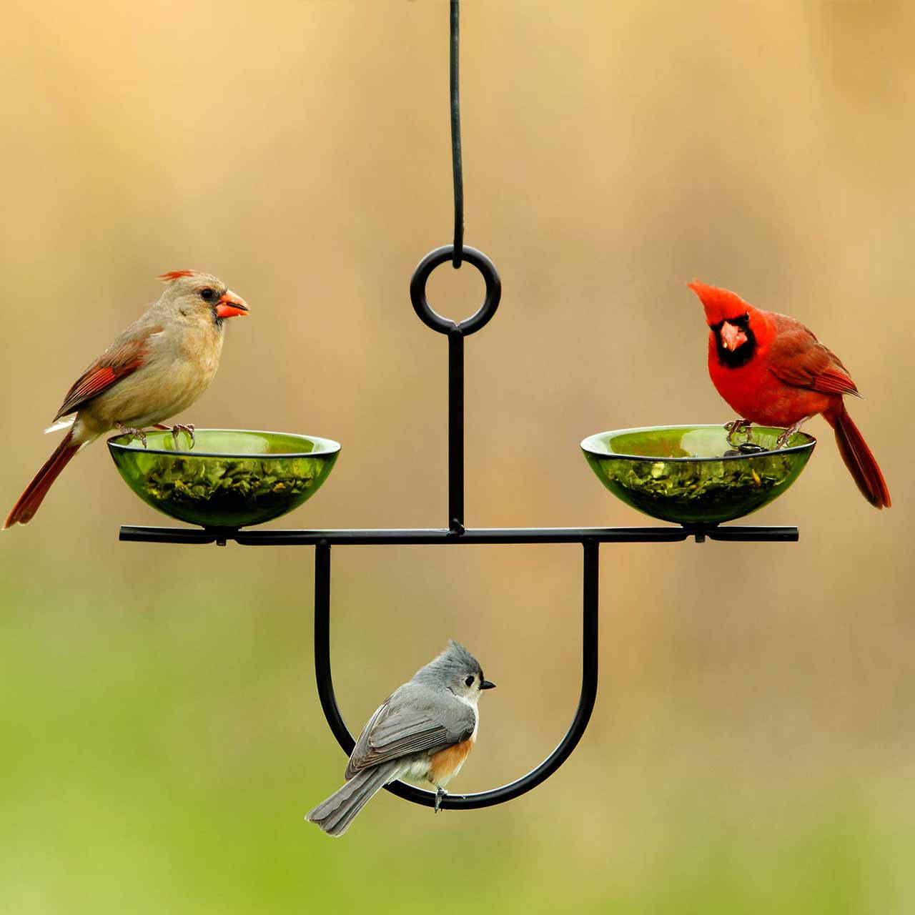 Couronne Co - Bird Feeder Side By Side