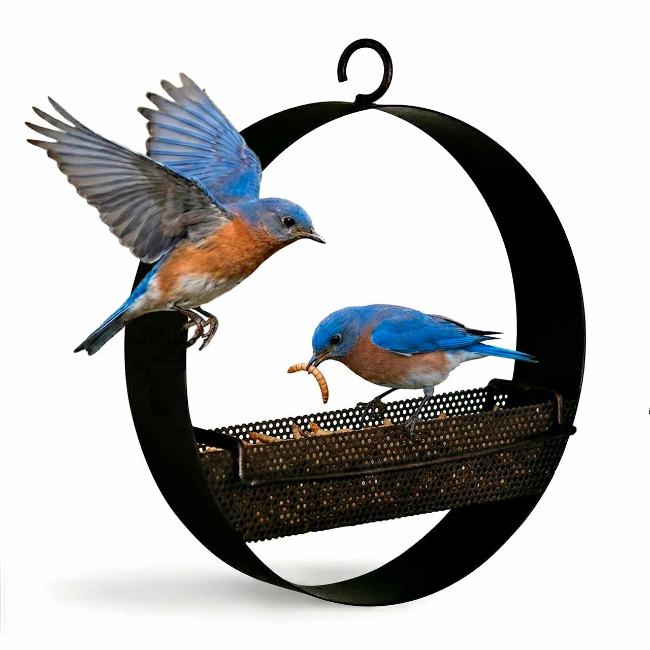 Couronne Co - Bird Feeder Bistro Bird