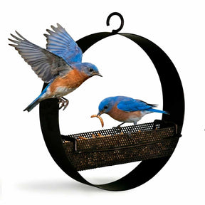 Couronne Co - Bird Feeder Bistro Bird