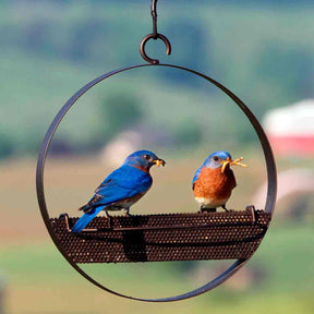 Couronne Co - Bird Feeder Bistro Bird