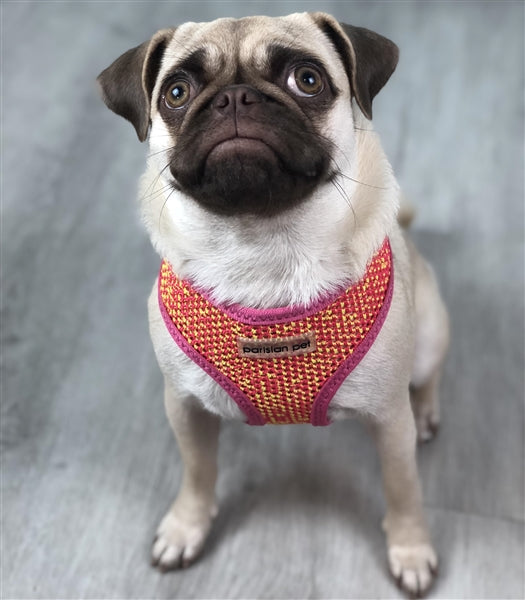 Parisian Pet - Sport Net Harness Pink-Yellow