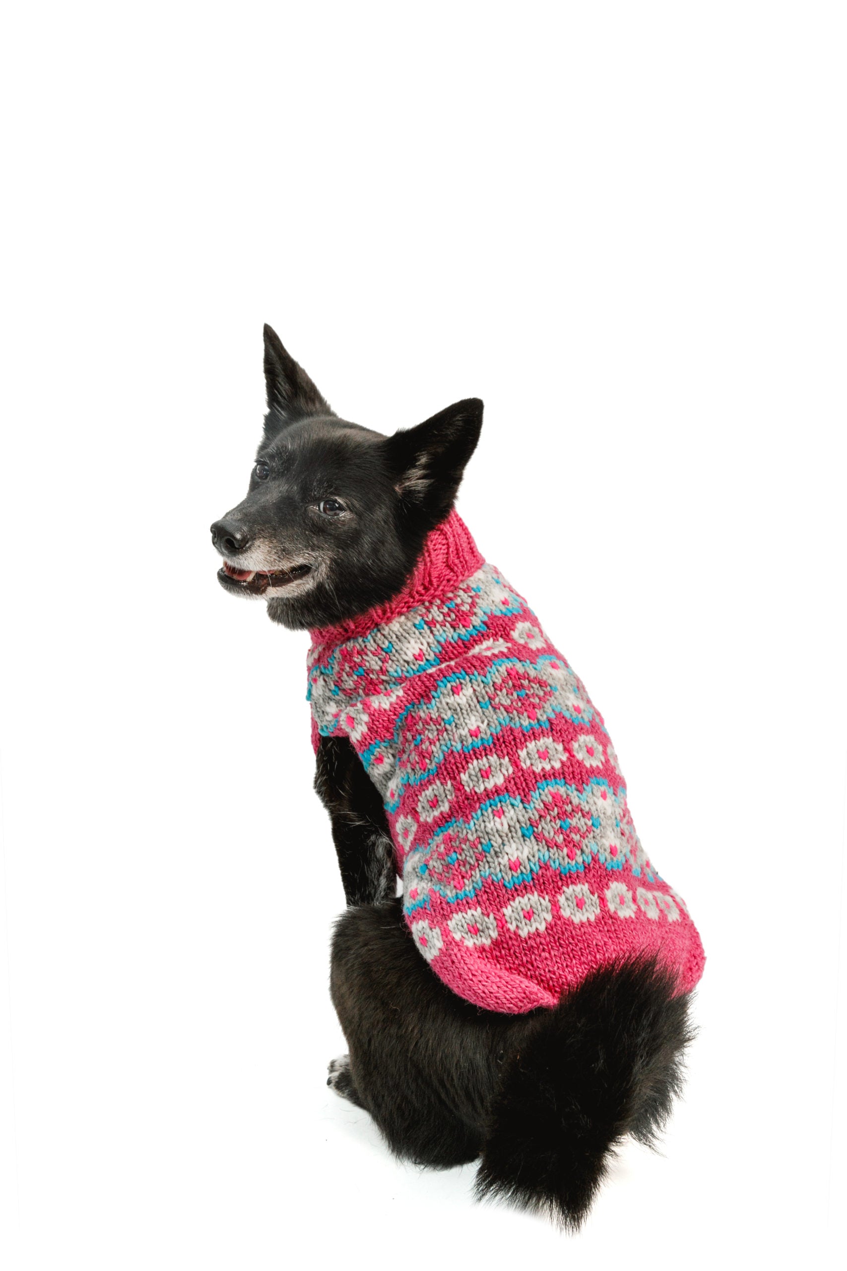 Chilly Dog - Dog Sweater Fairisle Rose Alpaca
