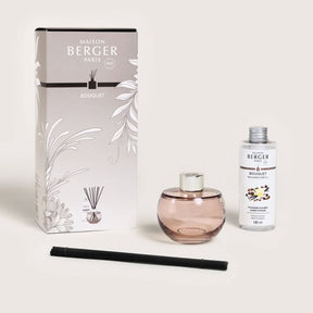 Maison Berger Paris - Reed Diffuser + Refill Gift Set - Amber Powder