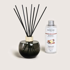 Maison Berger Paris - Reed Diffuser + Refill Gift Set - Amber Powder