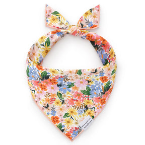 The Foggy Dog - Bandana Dog Marguerite Spring