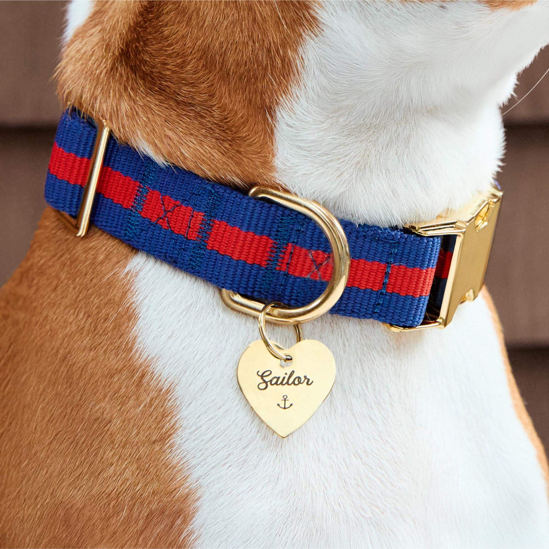 The Foggy Dog - Dog Collar Mariner Striped