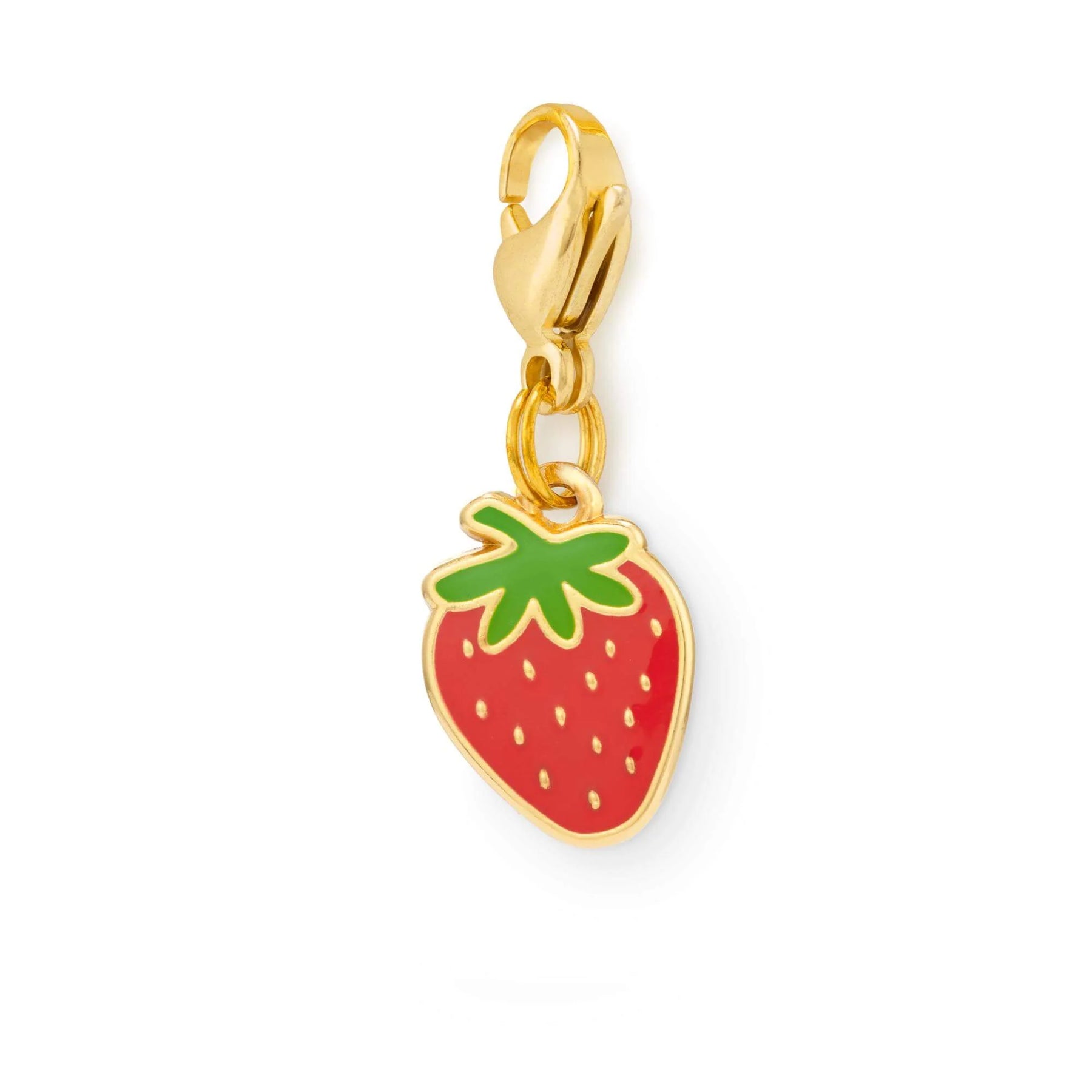 The Foggy Dog - Collar Charm Strawberry