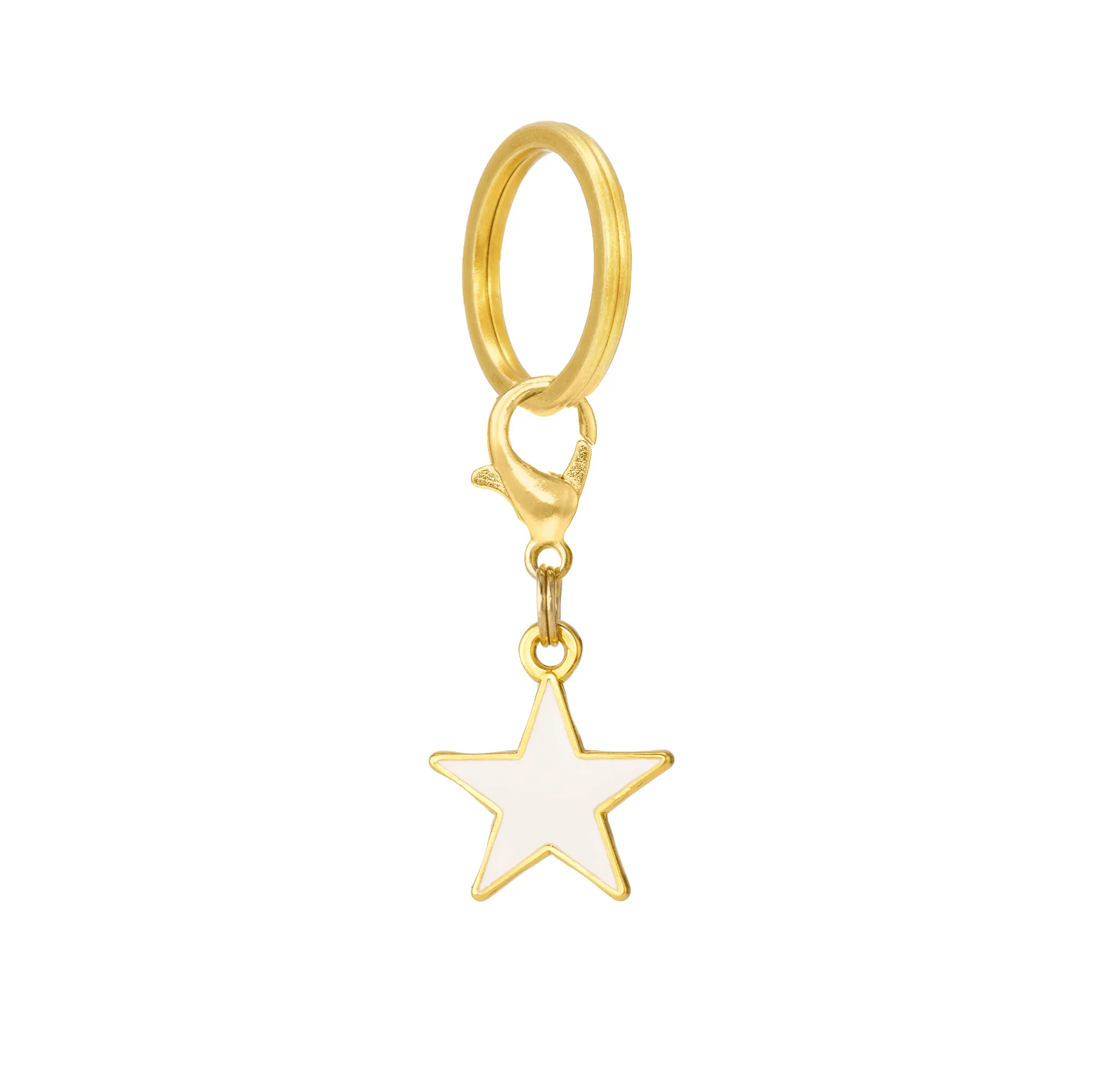 The Foggy Dog - Collar Charm White Star