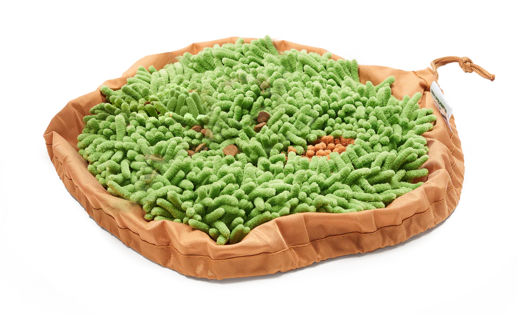 Pet Parents - Forager Bowl Meadow 9"