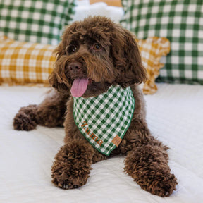 The Foggy Dog - Bandana Dog Heather Taylor Home x TFD Mini Gingham Hunter Green