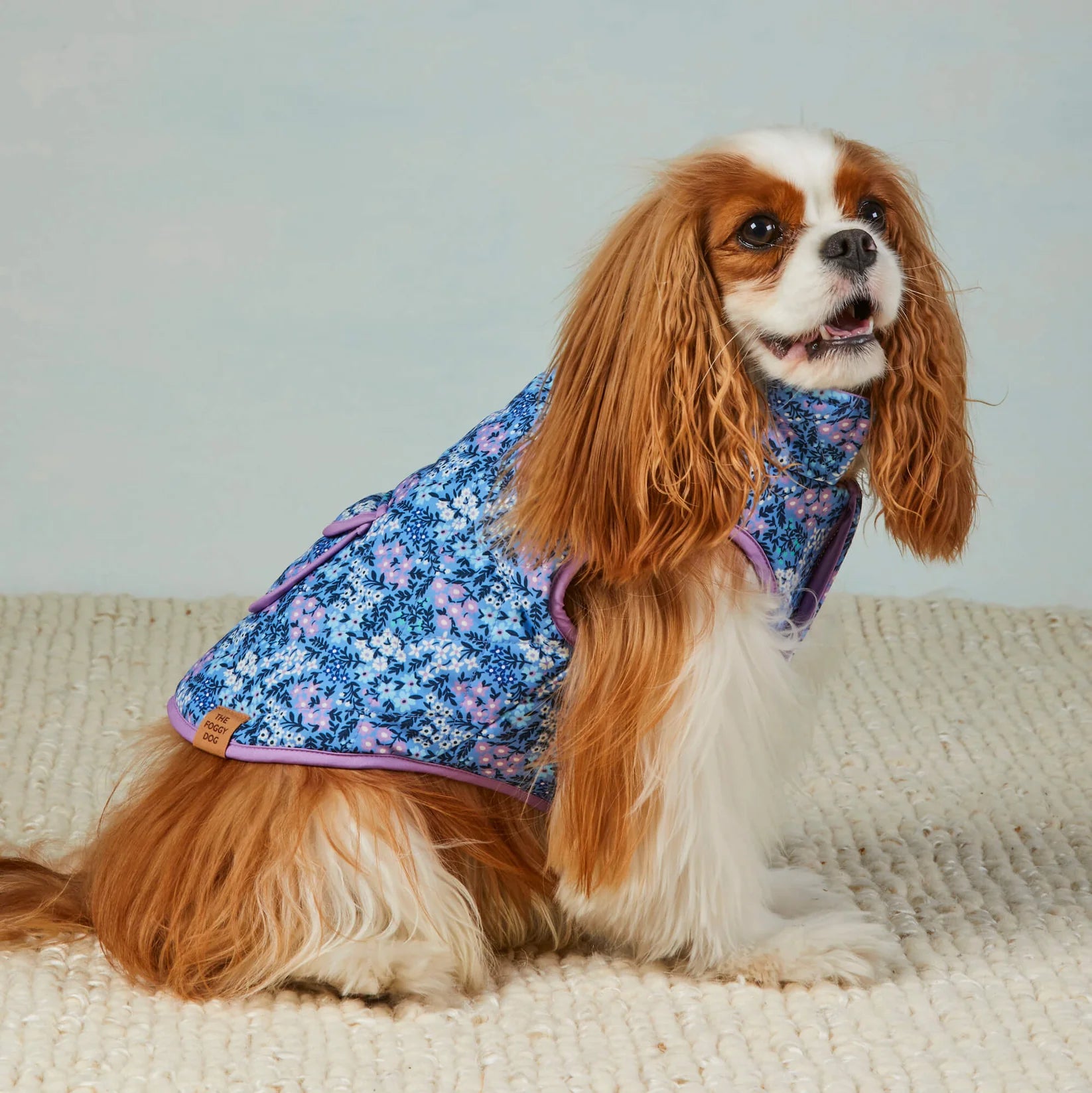 The Foggy Dog - Dog Jacket Mini Meadow Reversible