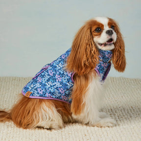The Foggy Dog - Dog Jacket Mini Meadow Reversible