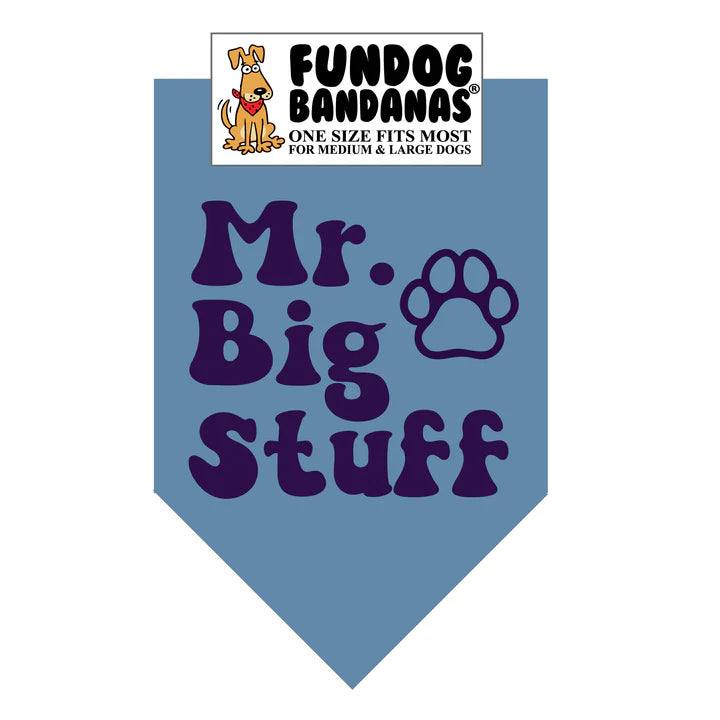 FunDog Bandanas - Dog Bandana Mr. Big Stuff