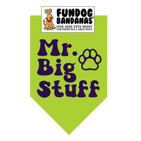 FunDog Bandanas - Dog Bandana Mr. Big Stuff