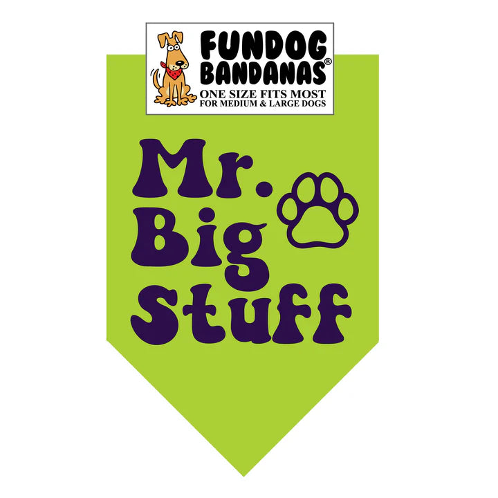FunDog Bandanas - Dog Bandana Mr. Big Stuff